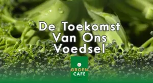 Evenementen locatie Breda - groen cafe